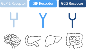 GLP-1/GIP/GCG Agonist